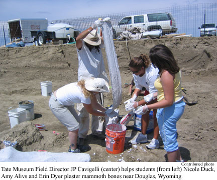 Tate Museum Field Director JP Cavigelli (center) helps students (from left) Nicole Duck, Amy Alivs and Erin Dyer plaster mammoth bones near Douglas, Wyoming.