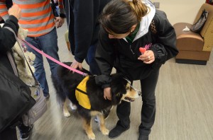 Students playing with Compassionate Paws dog.