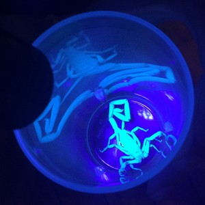 A glow in the dark scorpion. Photo by Taylor Barton