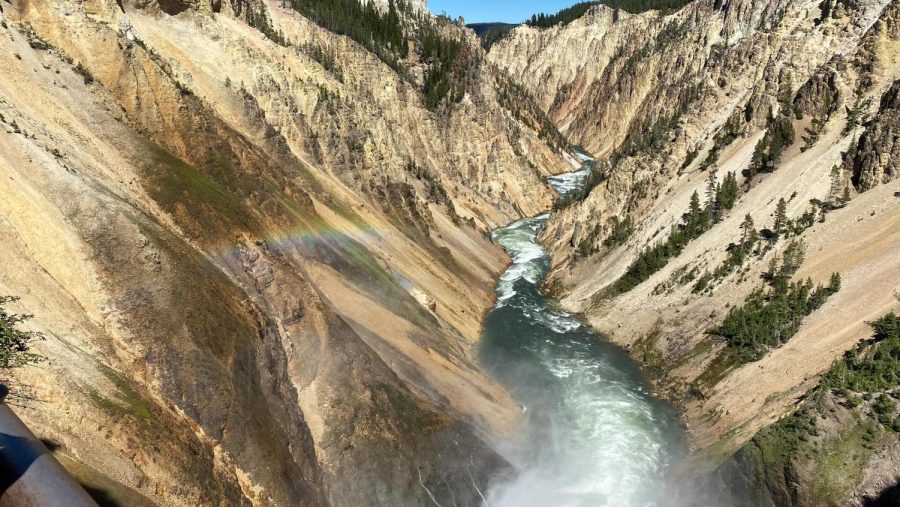 The Grand Canyon of the Yellowstone River is a highlight of the trip to Yellowstone Park.